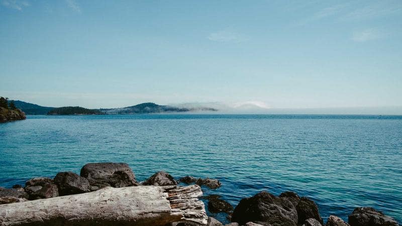 Electrification Without Grid Reform Can Prolong Coal Dependence