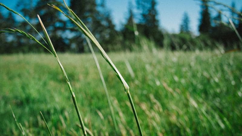 From Revolution to Rivalry: A Historical Retrospective on U.S.–Iran Relations