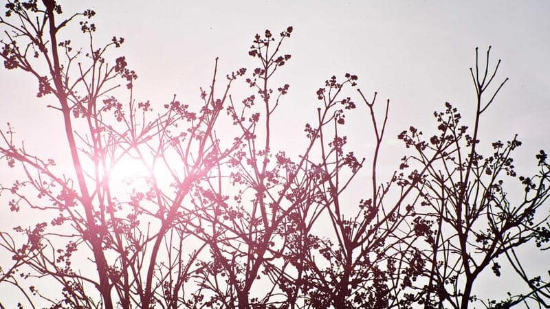 Flexibility Is Not Free: Who Bears the Risk in a High-Load Grid?