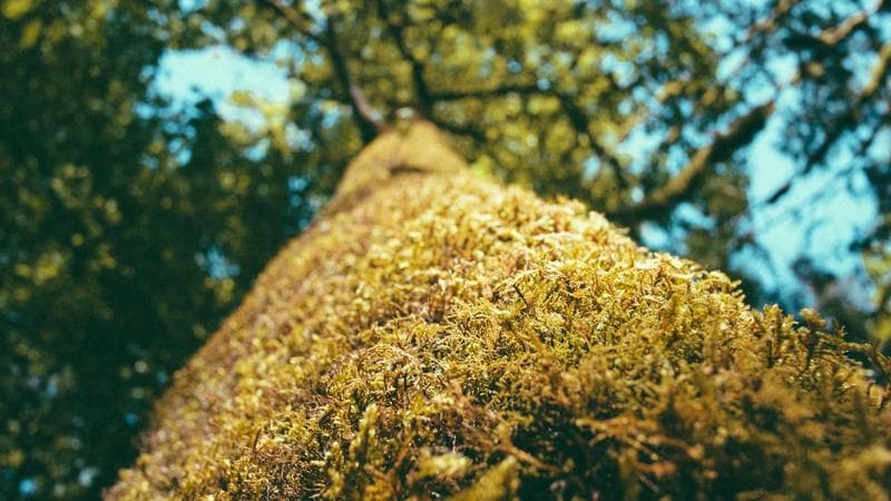 Supply Continuity in Life Sciences Operations