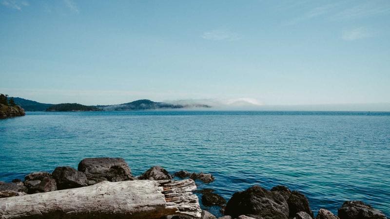 Electrification Without Grid Reform Can Prolong Coal Dependence