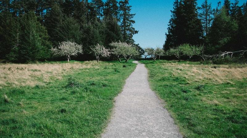 Designing Credible Coal Transition Pathways in Southeast Asia