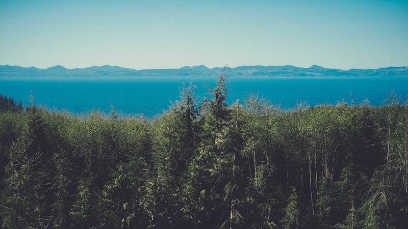 Next-Gen Textiles in Practice: Why Scaling Sustainable Fabrics Is a Systems Alignment Problem