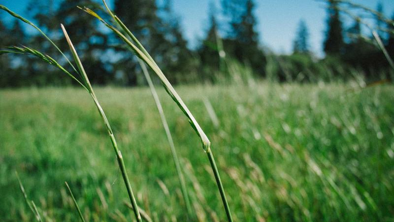 From Revolution to Rivalry: A Historical Retrospective on U.S.–Iran Relations