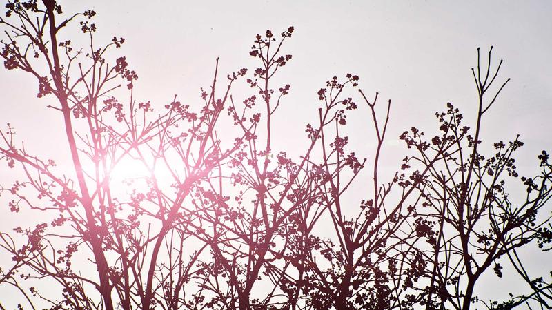 Flexibility Is Not Free: Who Bears the Risk in a High-Load Grid?