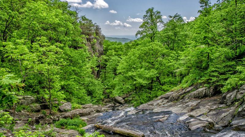 Global Sourcing in 2026: Strategic Signals from Tariffs and Trade Volatility