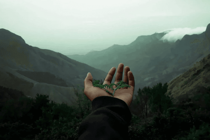 Hallucination, Harm & Hype: Can LLMs Be Trusted in Healthcare?