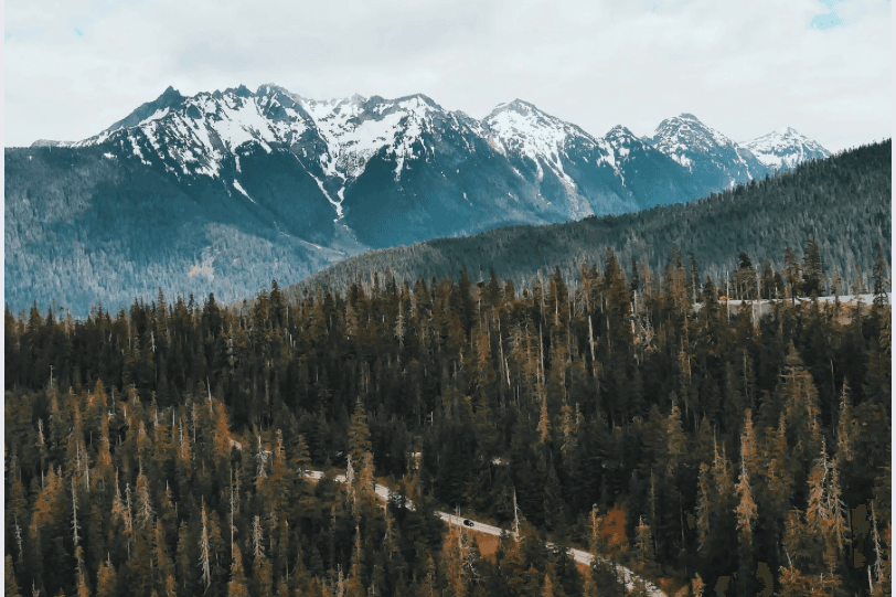 The Climate-Smart Agriculture Revolution : Resilience Strategies, Policy Challenges, and Future Opportunities